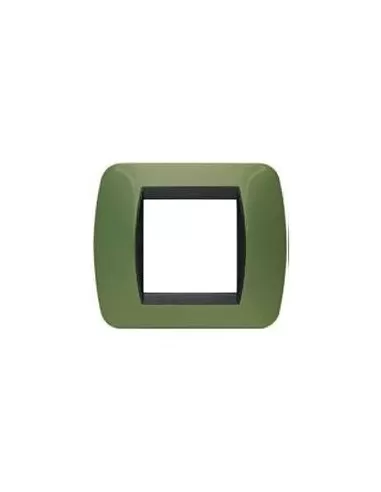 Bticino l4802vt 2-seater plate metallic green living international